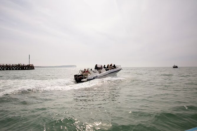 Seven Sisters Boat Trip - Wildlife Odds on the Sussex Coast: Seals, Dolphins, and Seabirds