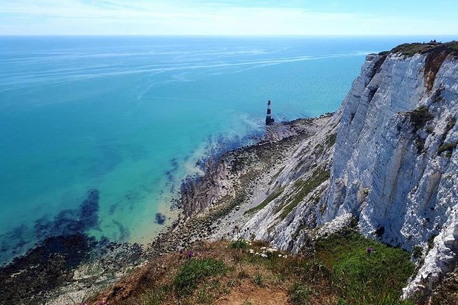 Seven Sisters & South Downs Tour with Train Tickets Included - Middle Farm tea rooms: a traditional Sussex pause (and lunch on your terms)
