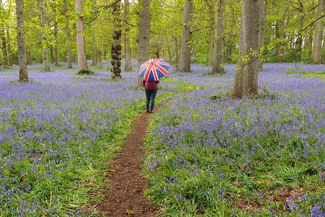 Southampton Port to London - Transfer with Sightseeing - Price and value: what $596.39 buys you (and what to watch for)