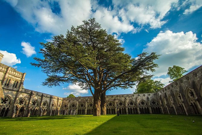 Southampton: Post-Cruise Tour to London via Salisbury, Stonehenge and Windsor - From Southampton docks to London hotels, a transfer designed for cruise-day reality
