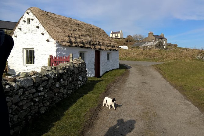 Steam Trains and Castles with qualified Isle of Man Tour Guide - What you actually pay for: value of $310 per group (up to 4)