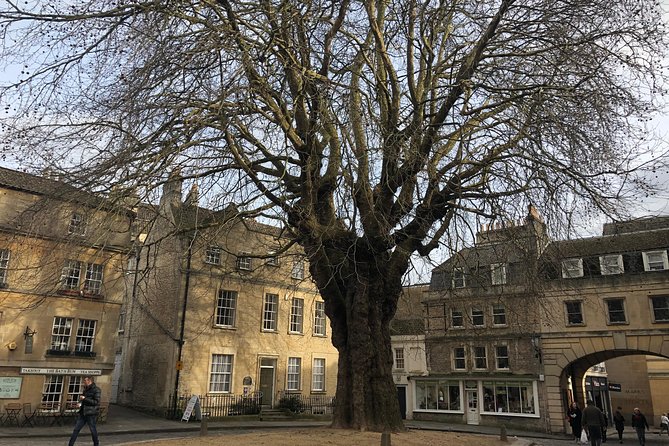 Stonehenge and Bath Private Car with Driver Guide - The panoramic Bath drive: Abbey, Royal Crescent, the Circus, and writers