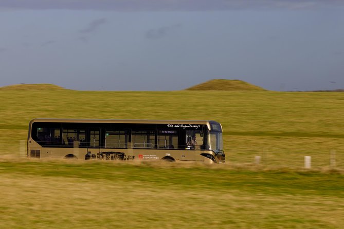 Stonehenge Shuttle Bus from London with Optional Fish & Chips - Who should book this Stonehenge shuttle (and who might not)