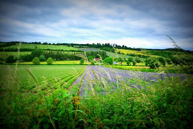 Stratford-upon-Avon and the Cotswolds - Day Tour from Brighton - Key highlights