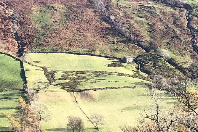 Stunning Lake District 4 Hour Tours! - Tarn Hows: Views That Feel Peaceful