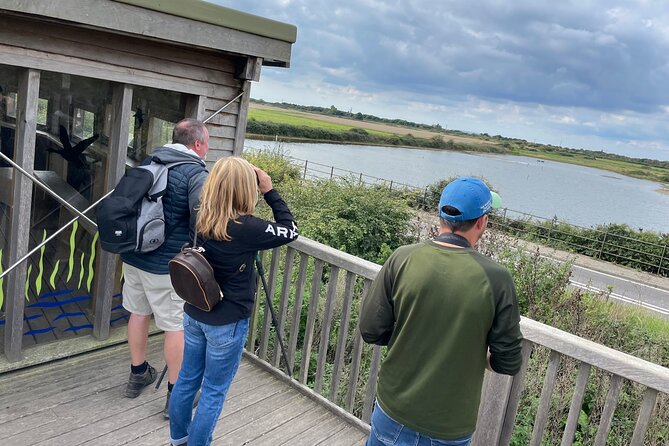 Sussex Birdwatching Private Guided Day Tour - Sussex birding from Brighton, with zero crowd pressure