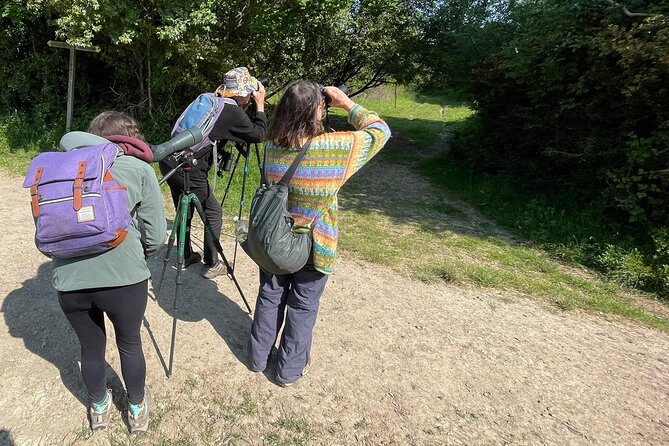 Sussex Birdwatching Private Guided Day Tour - Pulborough Brooks RSPB: floodplain birding and the White-tailed Eagle hope