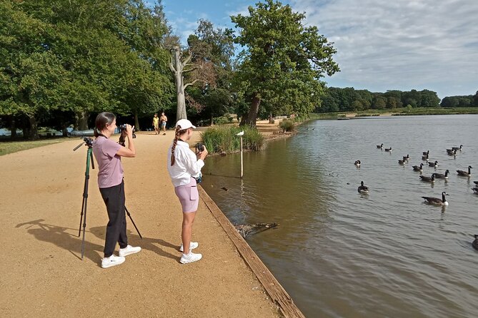 Sussex Birdwatching Private Guided Day Tour - Price and value: $329.10 per group, plus three sites with admissions included