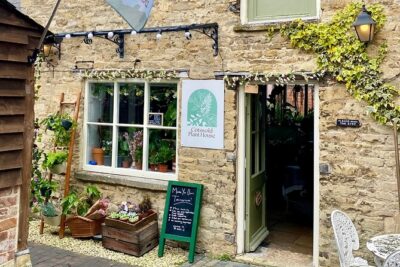 Terrarium Making Experience in Cirencester