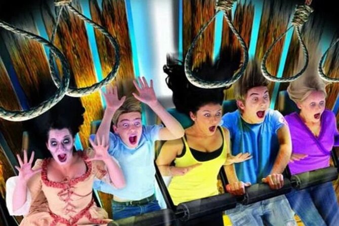 The Best Harry Potter Tour & The London Dungeons - House of Spells and the best kind of browsing time