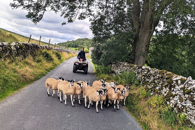 The Yorkshire Dales of All Creatures Great & Small - The Yorkshire Dales National Park drive: Wharfedale and Wensleydale views
