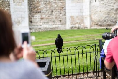 Tower of London Guided Tour with Beefeater Meet & Crown Jewels
