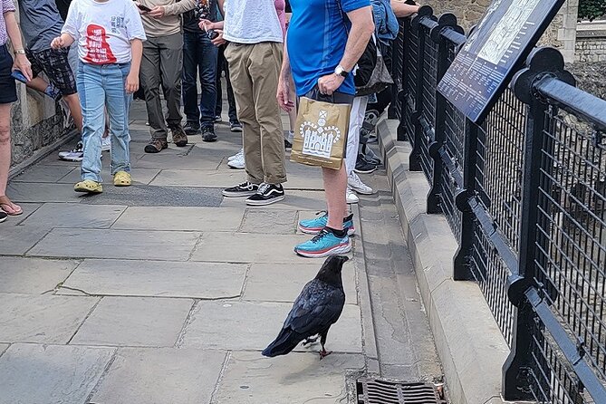 Tower of London: Guided Tour with Thames River Cruise - Small group size up to 20: what it changes for your day