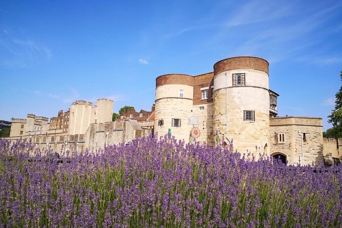 Tower of London Private Tour for Families and Friends - Ravens and legends, where the stories stick