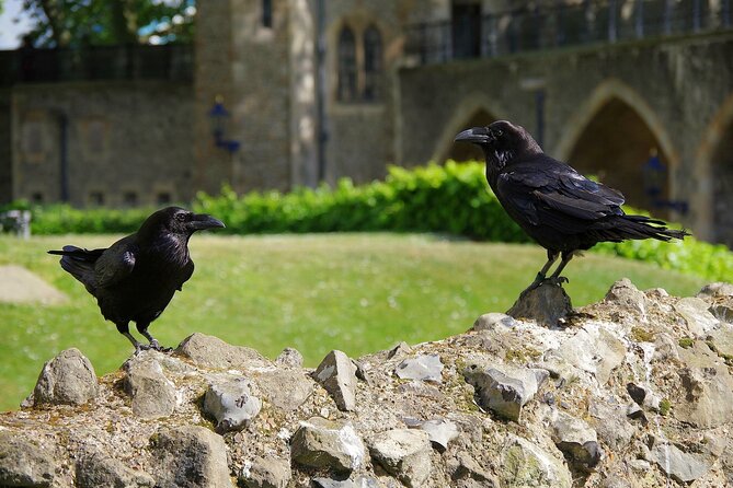 Tower of London Private Walking Tour - Starting at Tower Hill and getting oriented fast