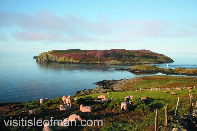 Viking Tour of the Isle of Man - Half Day - Private Tour - Balladoole Viking boat burial and Castle Rushen in Castletown