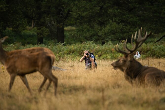 Wildlife Photography Workshop in Richmond Park in London - Richmond Park: The Best Reason to Shoot Wildlife Without Leaving London