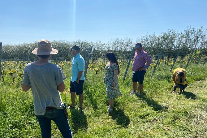 Wine & Cheese in the Somerset Valleys - with Michelin-star lunch! - Cheddar village and the dairy tour: the cheese you came for