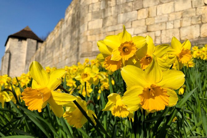 York 3-Hour Photography Walking Tour - Stop 5: Merchant Adventurers’ Hall via a snickleway