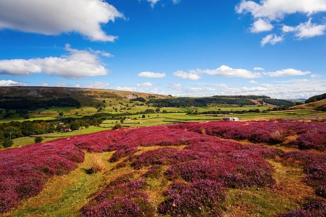 Yorkshire Dales Day Trip from York - Arriving in the Dales with a comfort-first coach plan