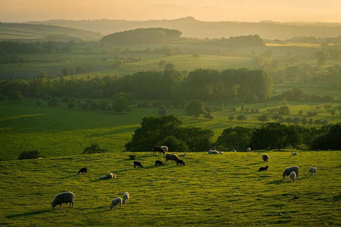 Yorkshire Dales Tour App, Hidden Gems Game and Big Britain Quiz (7 Day Pass) UK - GPS treasure hunt basics: what you do on the ground