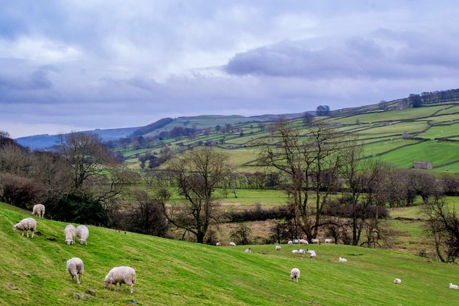 Yorkshire Dales Tour from York - Value for money: why $77.64 can make sense for the right traveler