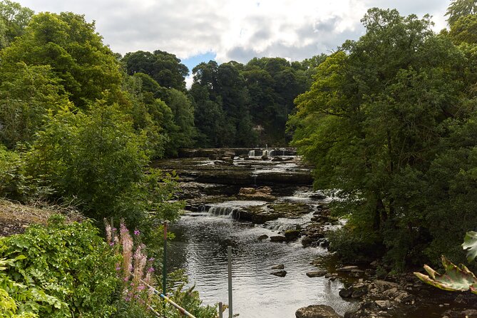 Yorkshire Dales Tour from York - Who this Yorkshire Dales day trip fits best